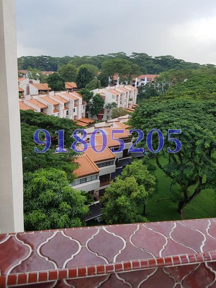 Sommerville Park (D10), Condominium #154488902